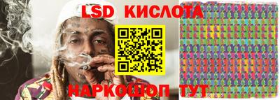 гидра Брянск