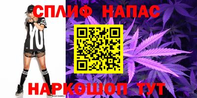 гидра Брянск