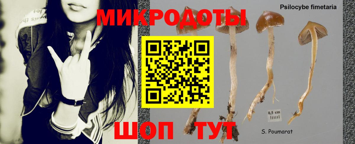 Псилоцибиновые грибы MAGIC MUSHROOMS Донецк